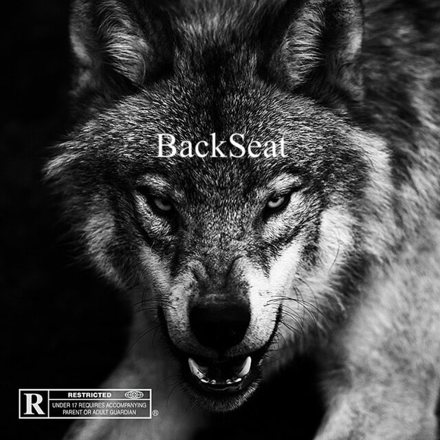 Back Seat