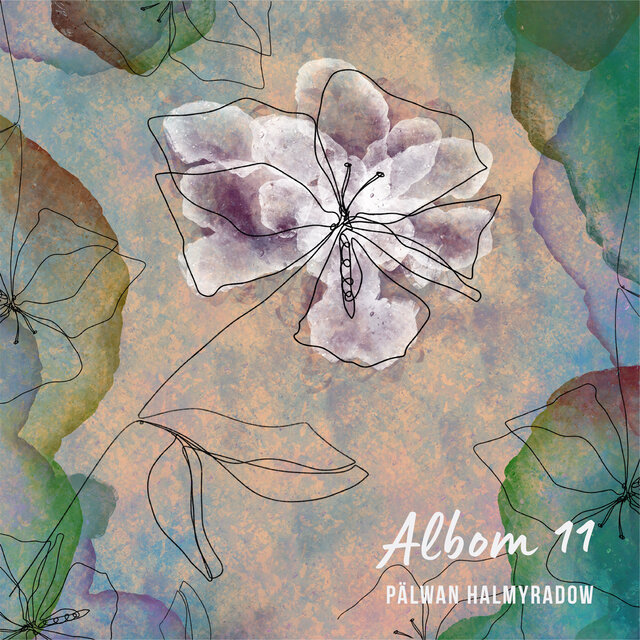 Albom 11