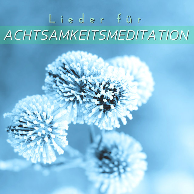 Lieder für Achtsamkeitsmeditation: Ruhige Musik für die Befreiung vom Selbst im Hier und Jetzt