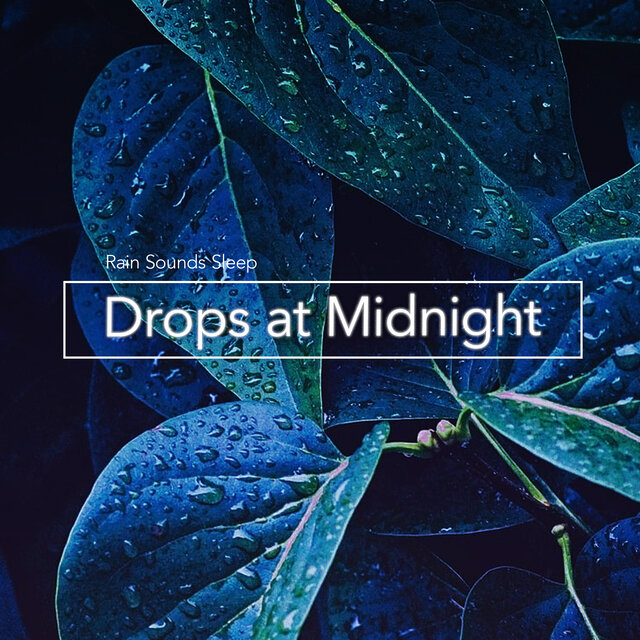 Drops at Midnight