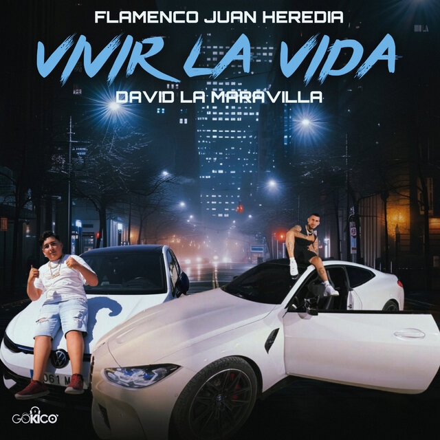 Vivir la Vida