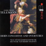 Concerto for Violin, Three Corni da Caccia and Strings in D Major, TWV 54:D2: I. Vivace