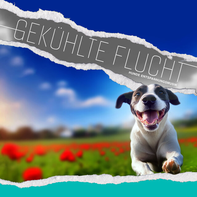 Gekühlte Flucht
