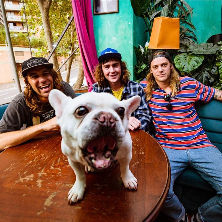 Dune Rats On Tidal tidal