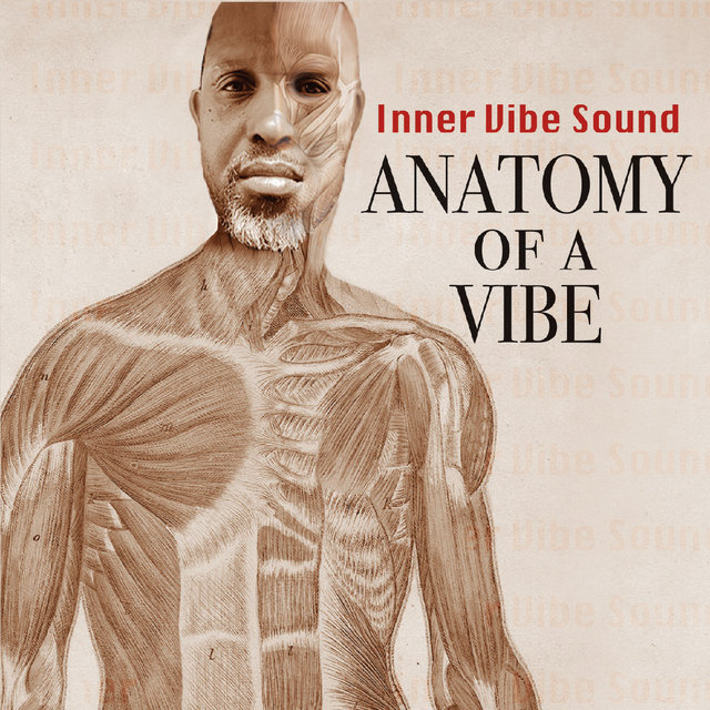 Anatomy of a Vibe