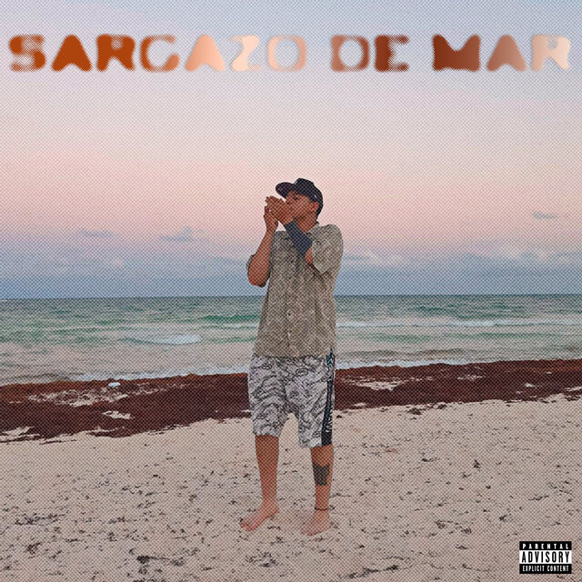 Sargazo en el Mar