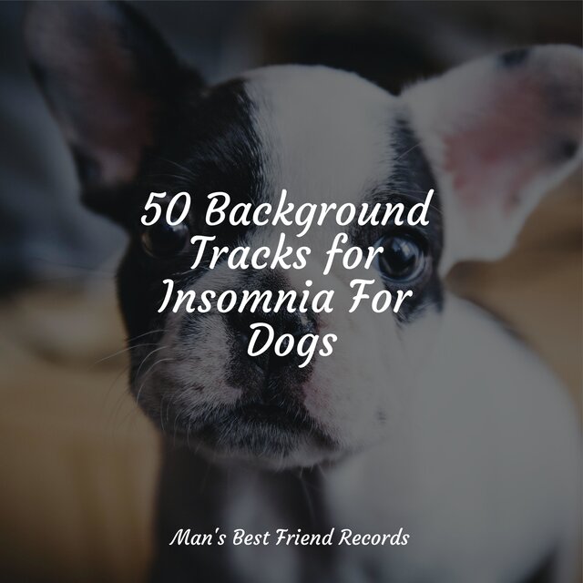 50 Background Tracks for Insomnia For Dogs