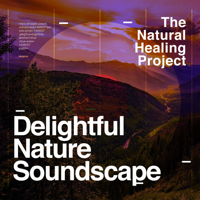 Delightful Nature Soundscape