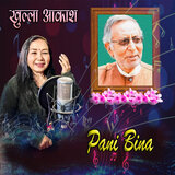 Pani Bina