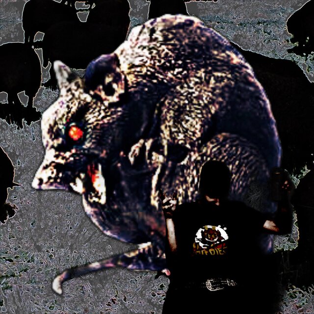 black sheep