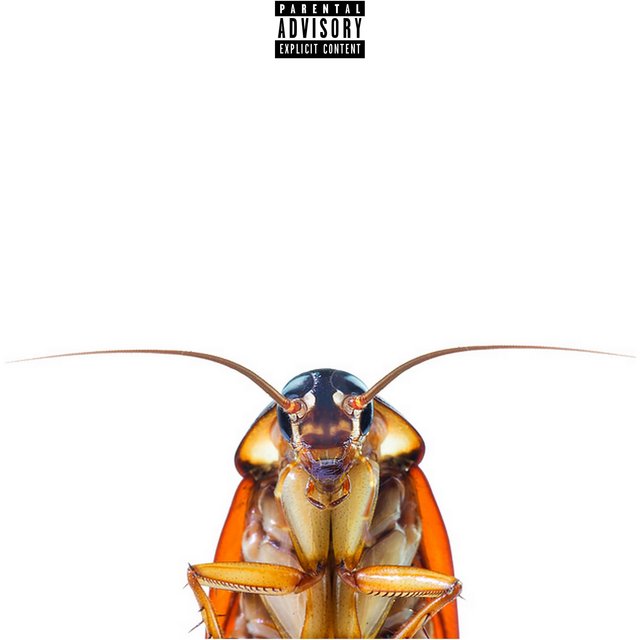 Cockroach (FUCK IT UP)
