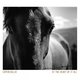 Cover art for album At the Heart of It All by Capercaillie