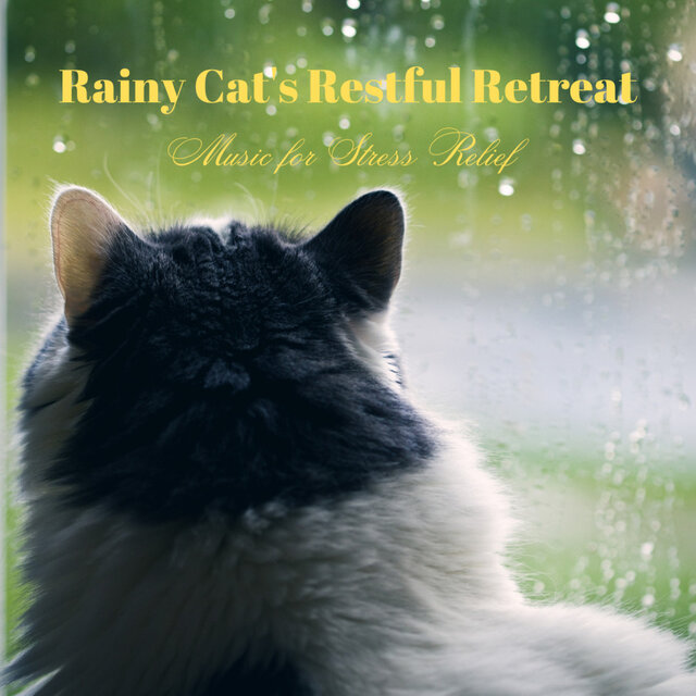 Rainy Cat's Restful Retreat: Music for Stress Relief
