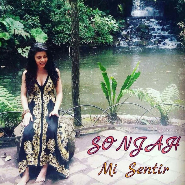 Mi Sentir