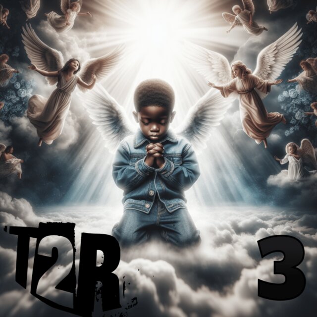 T2R 3