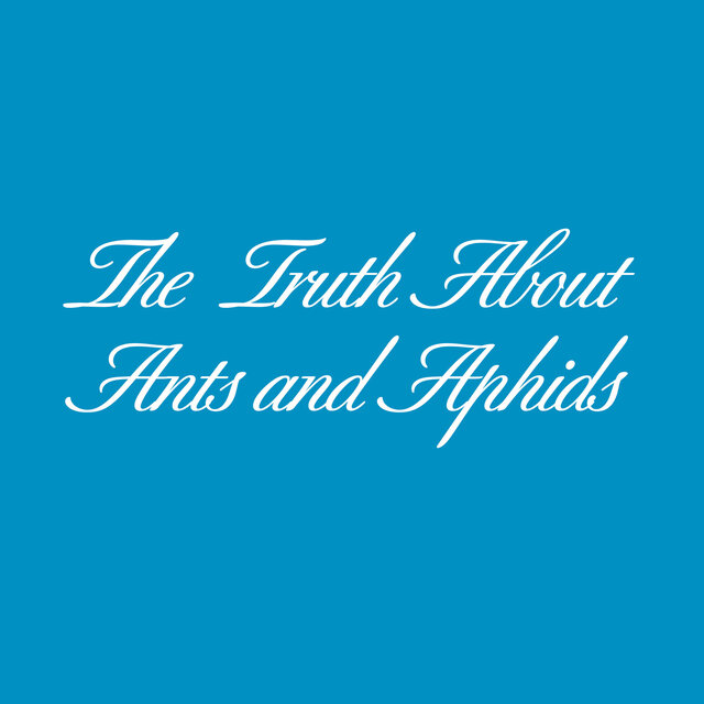 The Truth About Ants and Aphids