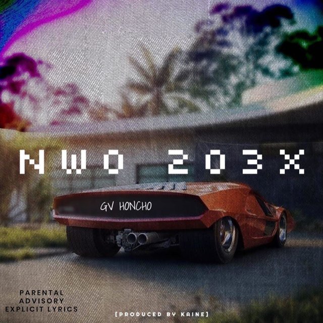 NWO 203x