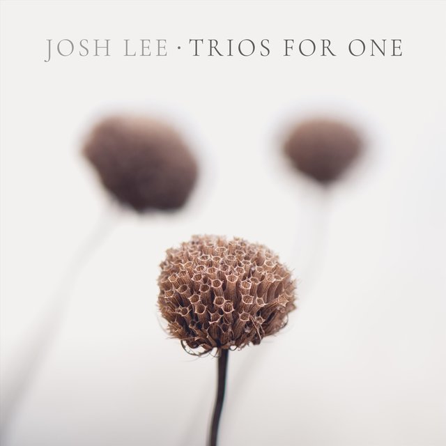 Trios for One
