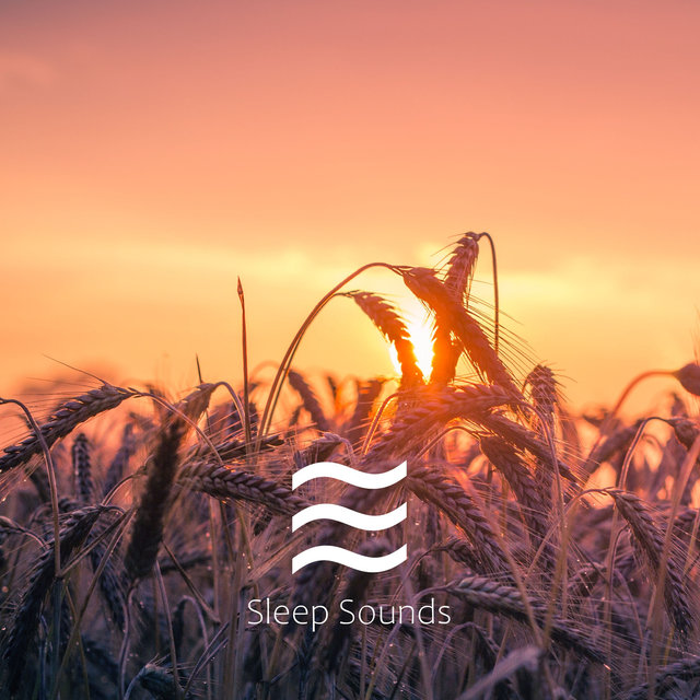 Noise ASMR for sleep deprivation (all night, loopable)