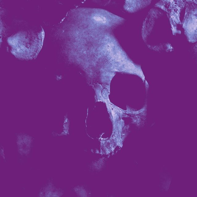 Wake Up the Dead