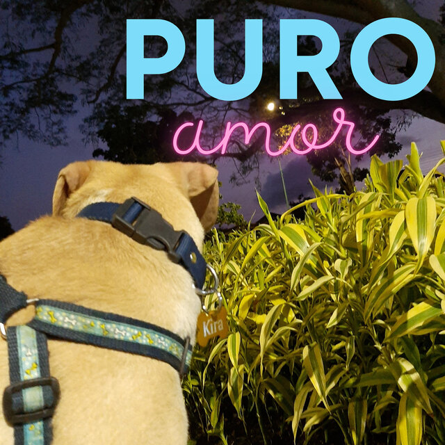 Puro Amor