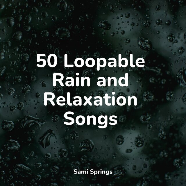 50 Loopable Rain and Relaxation Songs
