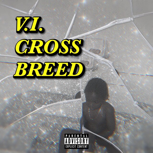 V.I CROSS BREED