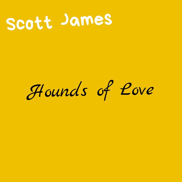 Hounds of Love