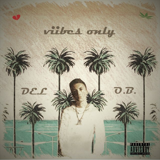 Viibes Only