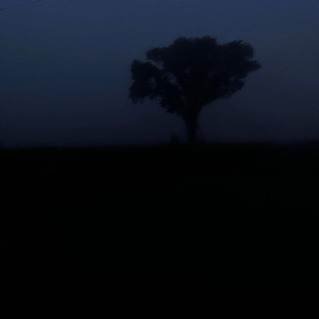 Seasons