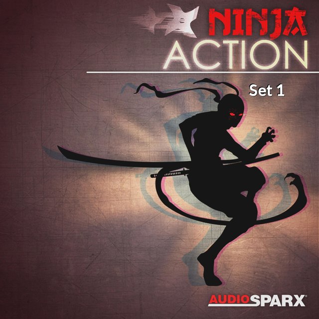 Ninja Action, Set 1