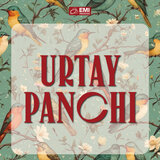 Aaj Koyi Dil Le Gaya Chanda Ki Ro-Pehli Raat Mein