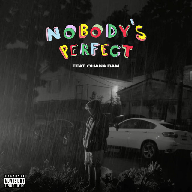 Nobody's Perfect