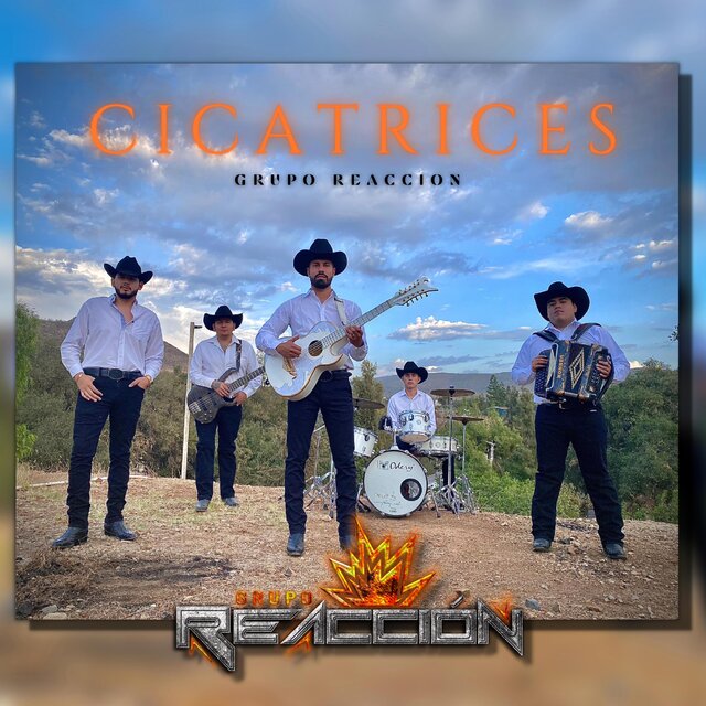 Cicatrices