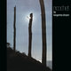 Cover art for album Ricochet (Live / Deluxe Version) by Tangerine Dream