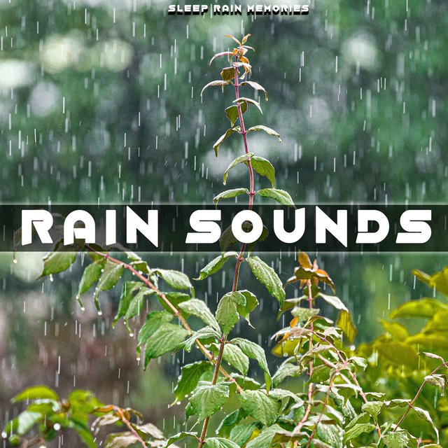 Rain Sounds