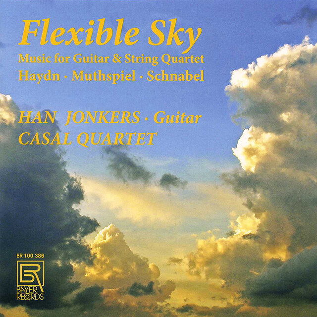 Flexible Sky