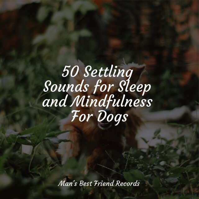 50 Settling Sounds for Sleep and Mindfulness For Dogs