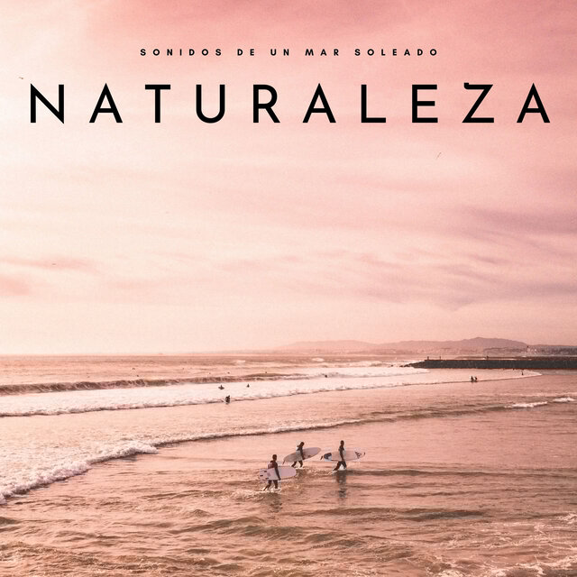 Naturaleza: Sonidos De Un Mar Soleado