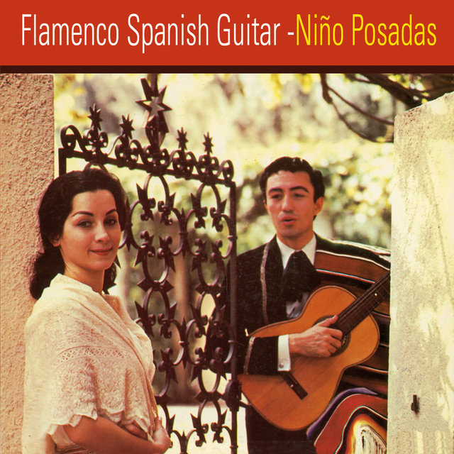 Flamenco Spanish Guitar