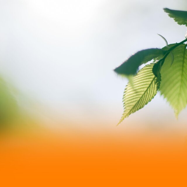 Healing Ambient Music With Soothing Piano And Gentle Nature Sounds For Deep Relaxation And Better Sleep
