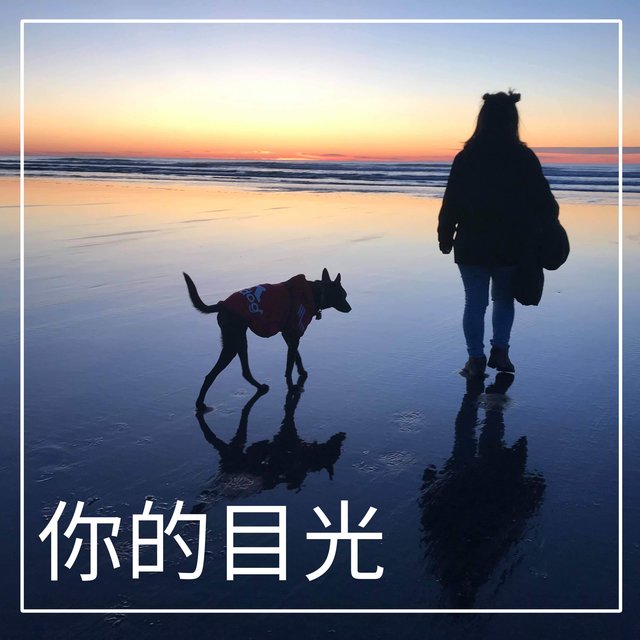 你的目光