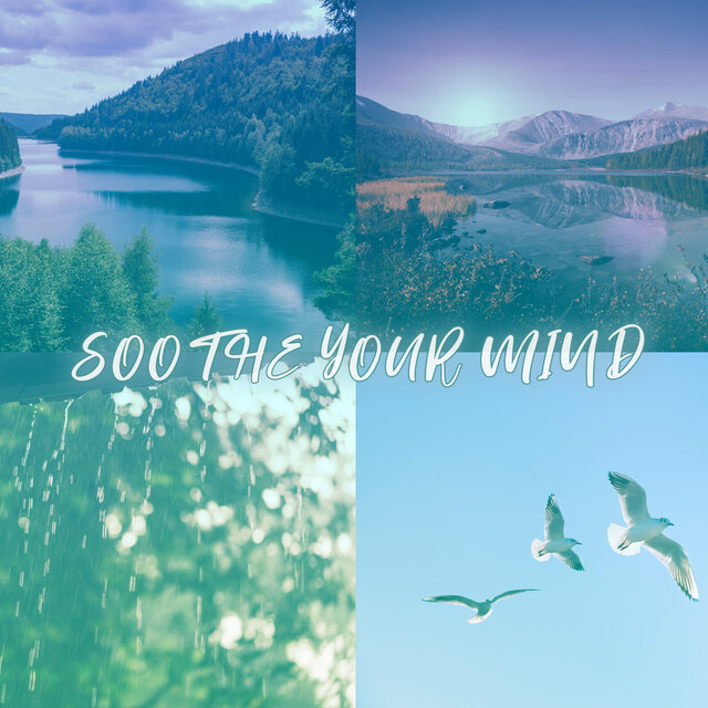Soothe Your Mind: Gentle Instrumental Music with Peaceful Nature (Water, River, Rain, Birds)