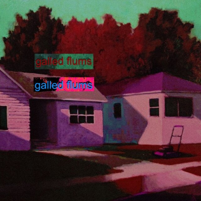 Galled Flums