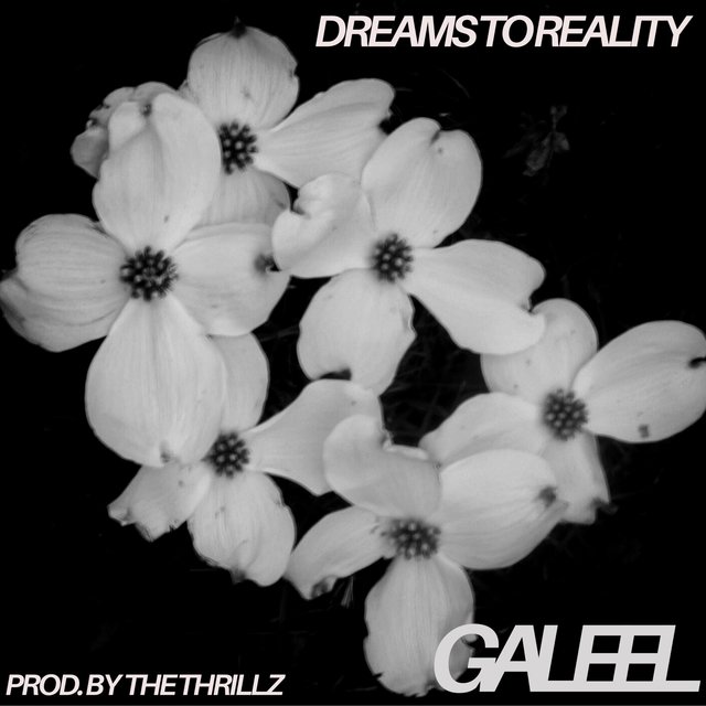 Dreams to Reality