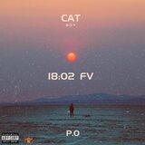 CAT BOY