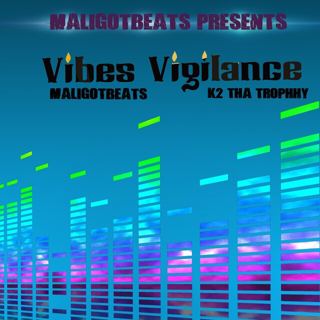 Vibez Vigilance