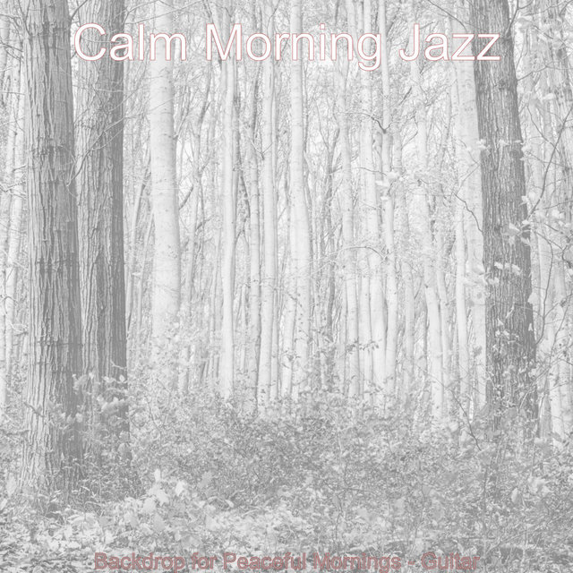 Backdrop for Peaceful Mornings - Guitar