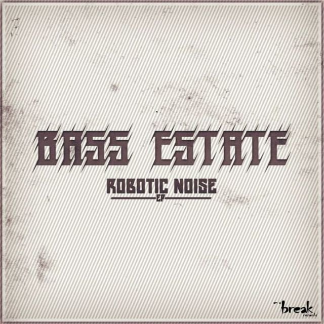 Robotic Noise