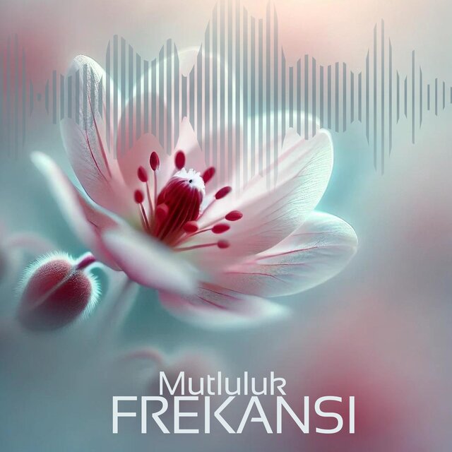 Mutluluk Frekansı: Beyin Dalgası Meditasyonu ile Serotonin, Dopamin ve Endorfininizi Artırın